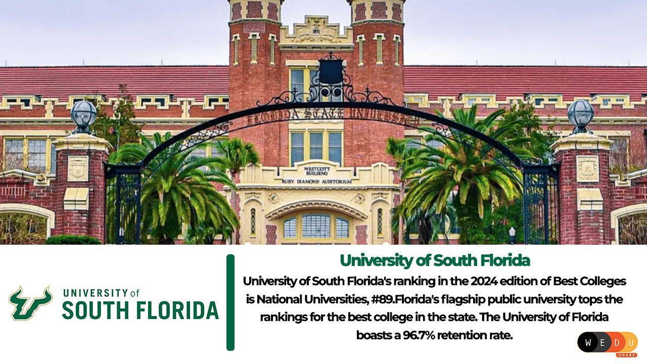 University of South Florida