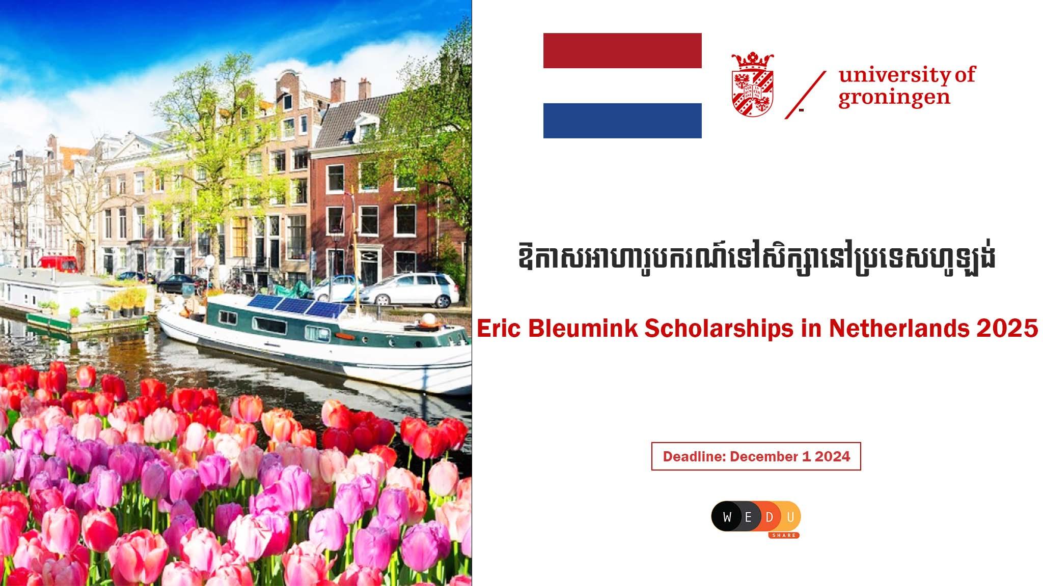 Eric Bleumink Scholarships in Netherlands 2025