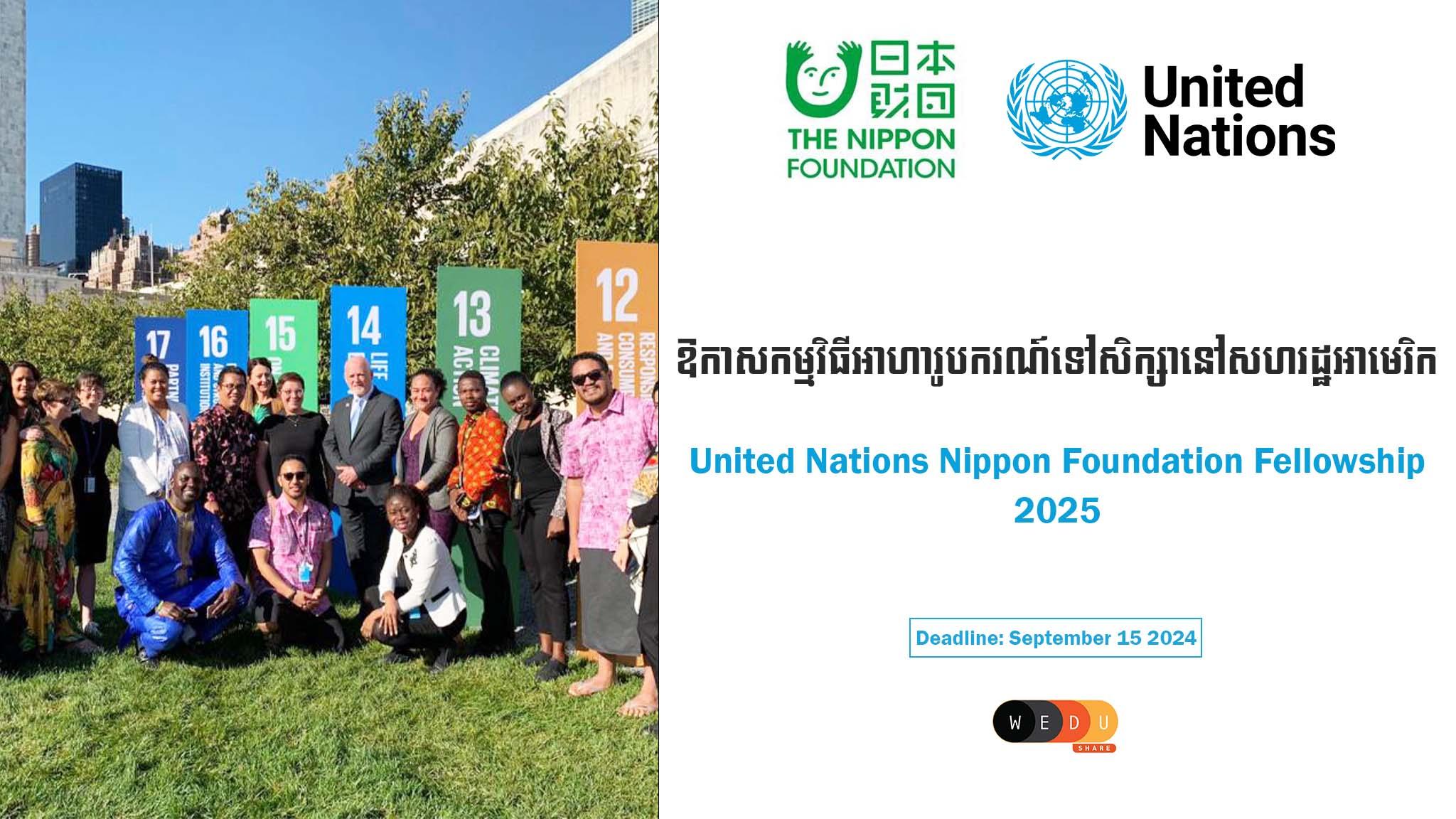 United Nations Nippon Foundation Fellowship 2025